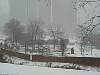 snowday_12.jpg